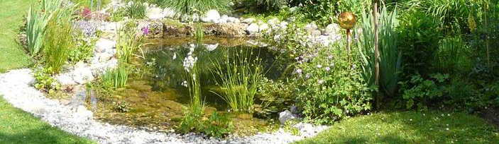 bild1